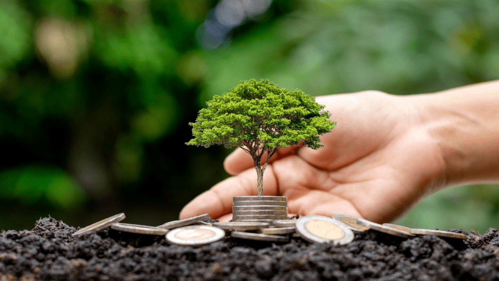 A hand holding coins and tree on desk