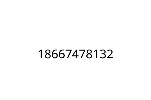 18667478132