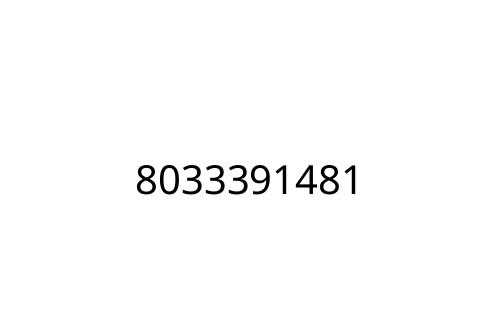 8033391481