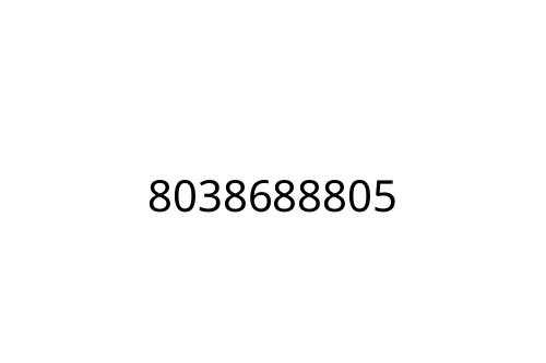 8038688805