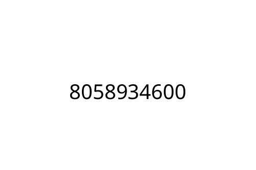 8058934600