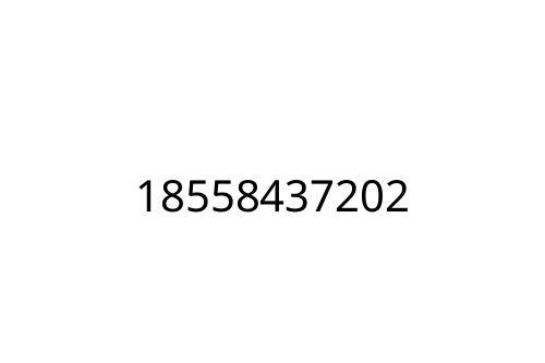 18558437202