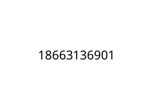 18663136901