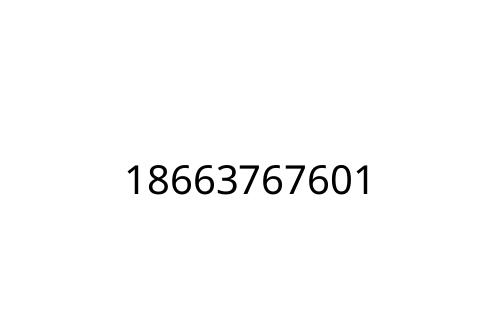 18663767601