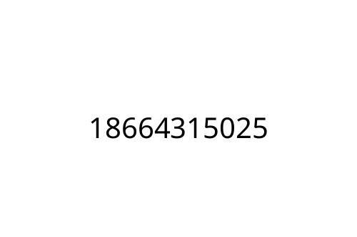 18664315025