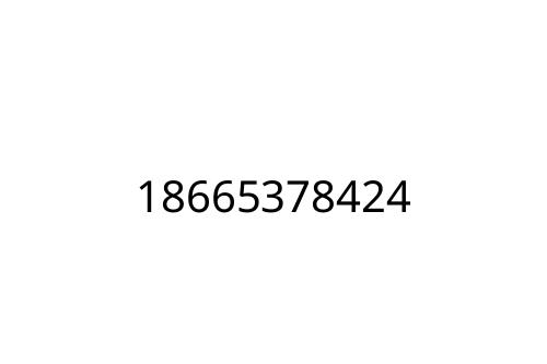 18665378424