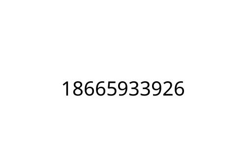 18665933926