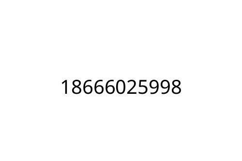 18666025998