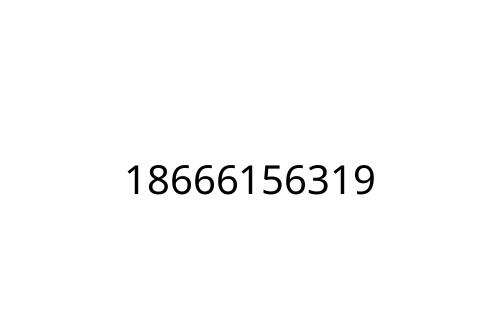 18666156319