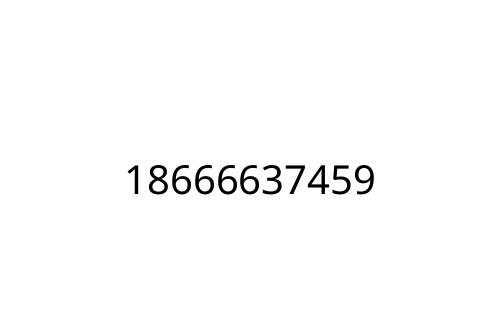 18666637459