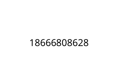 18666808628