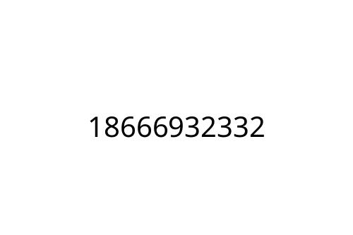 18666932332