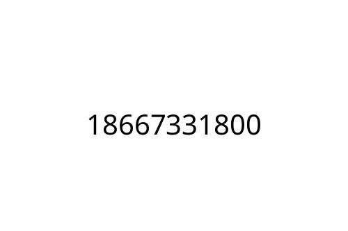 18667331800