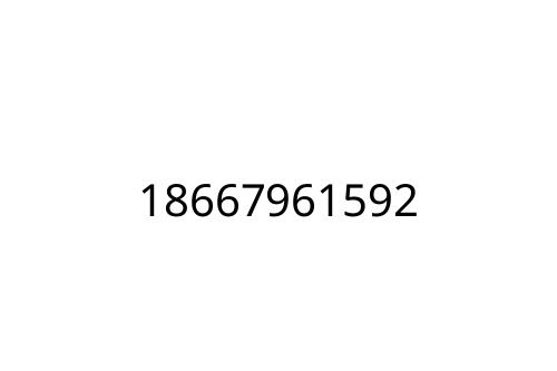 18667961592