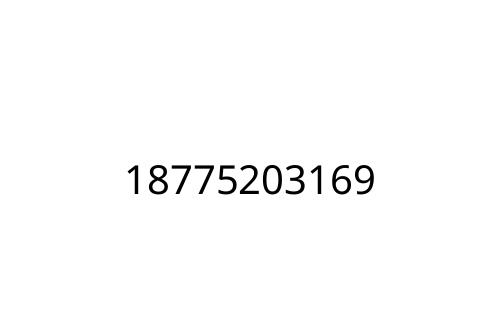 18775203169