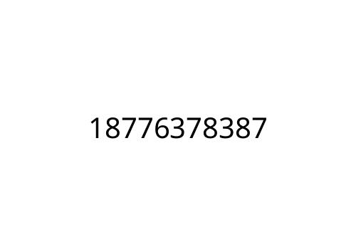 18776378387