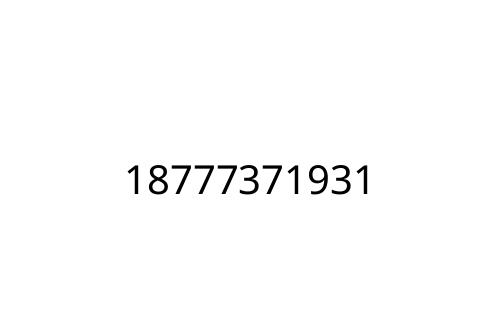 18777371931