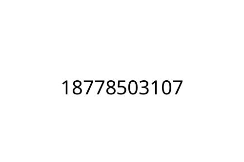 18778503107