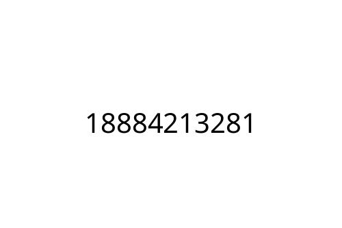 18884213281
