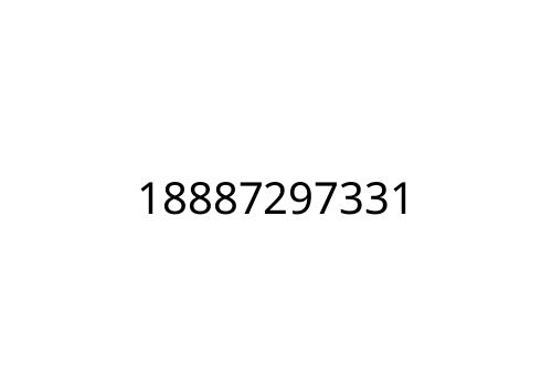 18887297331