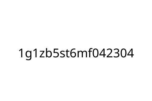 1g1zb5st6mf042304