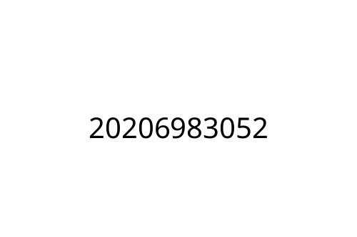 20206983052