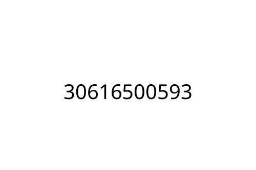 30616500593