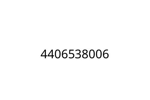 4406538006