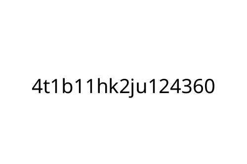 4t1b11hk2ju124360