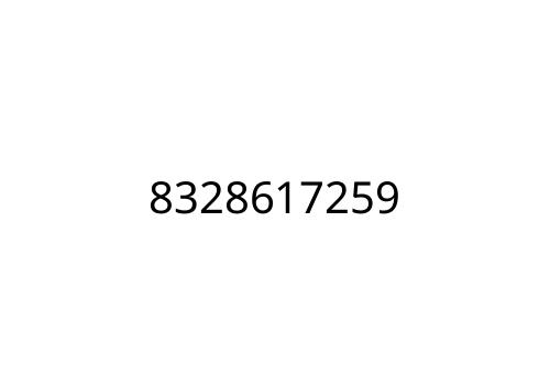 8328617259
