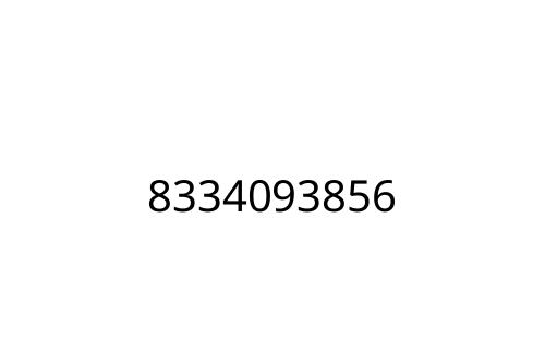 8334093856
