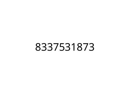 8337531873