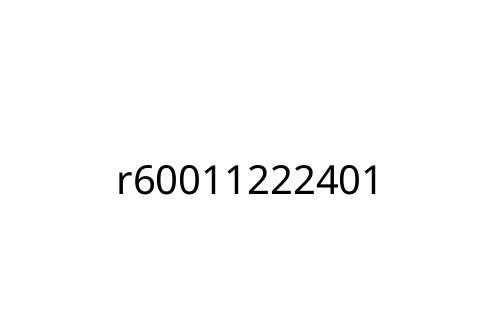 r60011222401