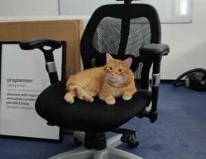 crypto hacks roarcultable