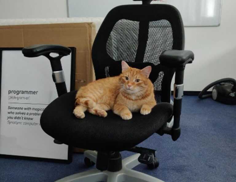 crypto hacks roarcultable