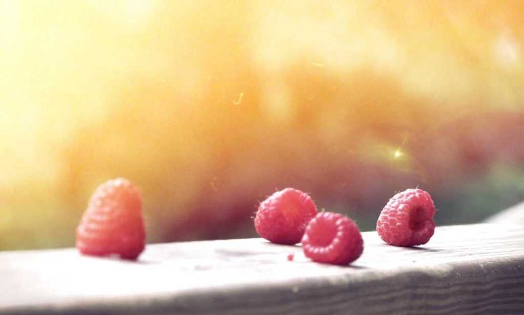 how was teckaya construction equipment founded