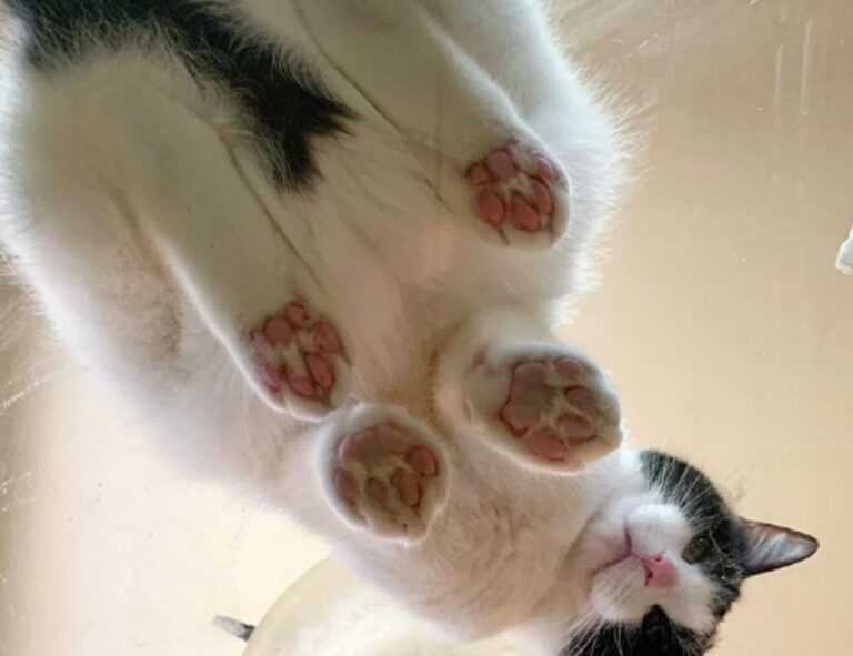 which month is best to visit beevitius