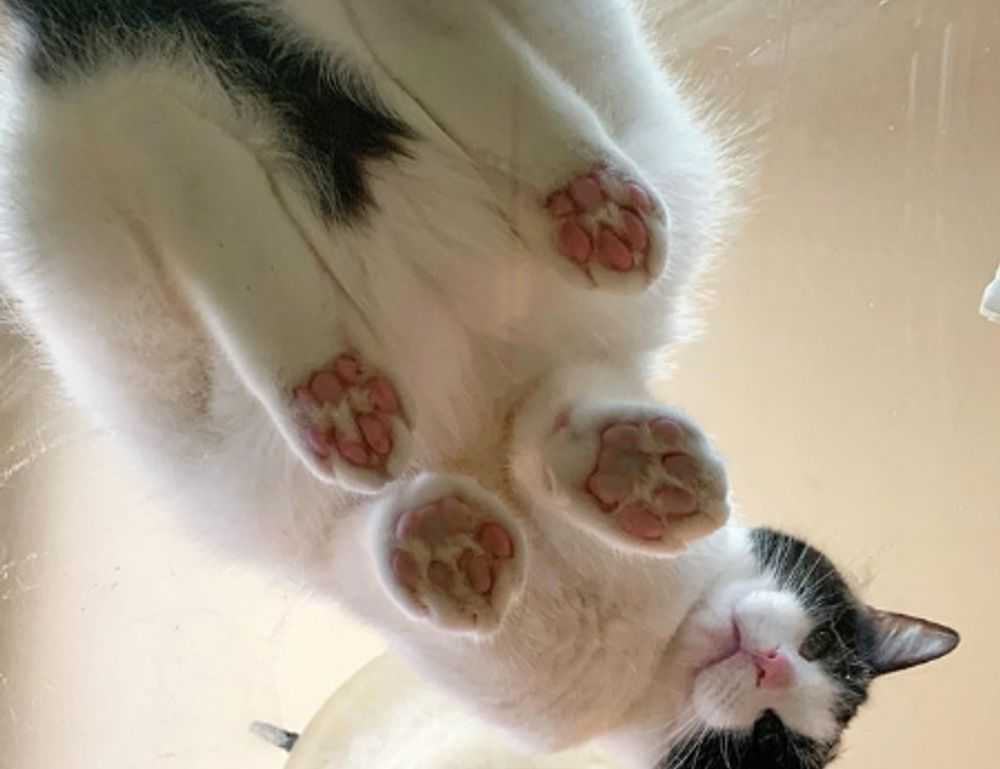 which month is best to visit beevitius