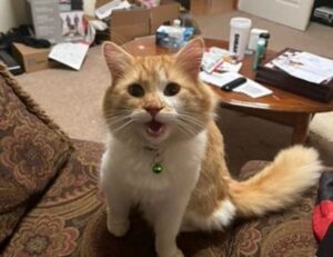 why culture matters in business roarcultable