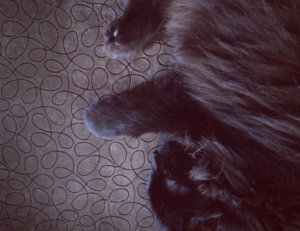 bff tekenen makkelijk in stappen