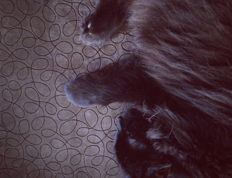 bff tekenen makkelijk in stappen