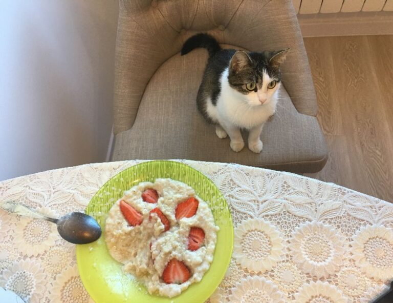 cuanto falta para el 19 de agosto