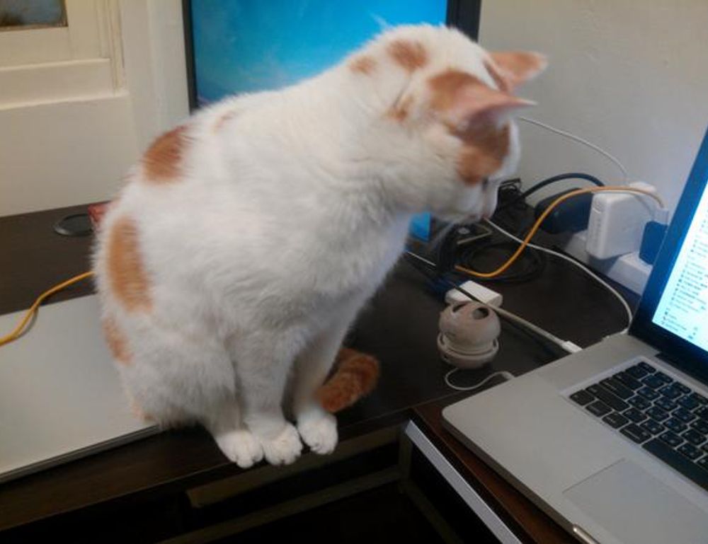 kuromi:_s_qsoenxpk= my melody