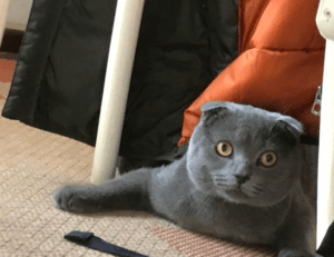 letras antiguas bonitas