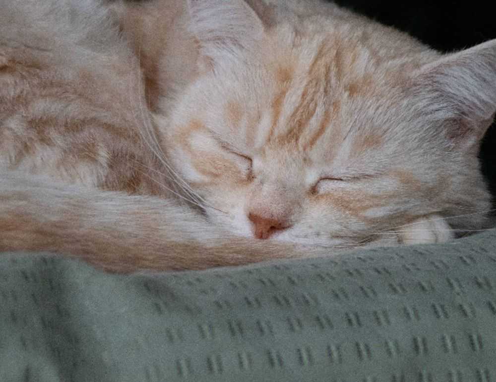 molly and jordy onlyfans