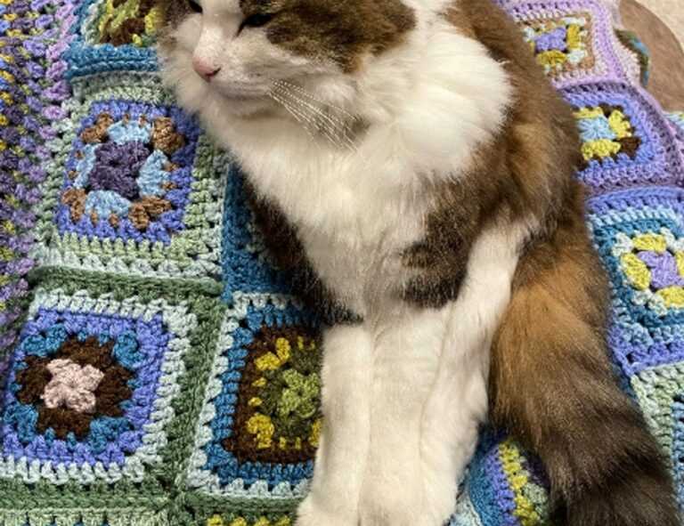 virtuosa feliz dia de la mujer dios te bendiga