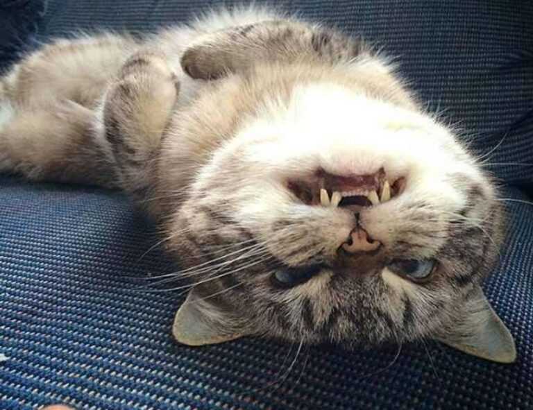 what does mhm mean on snap