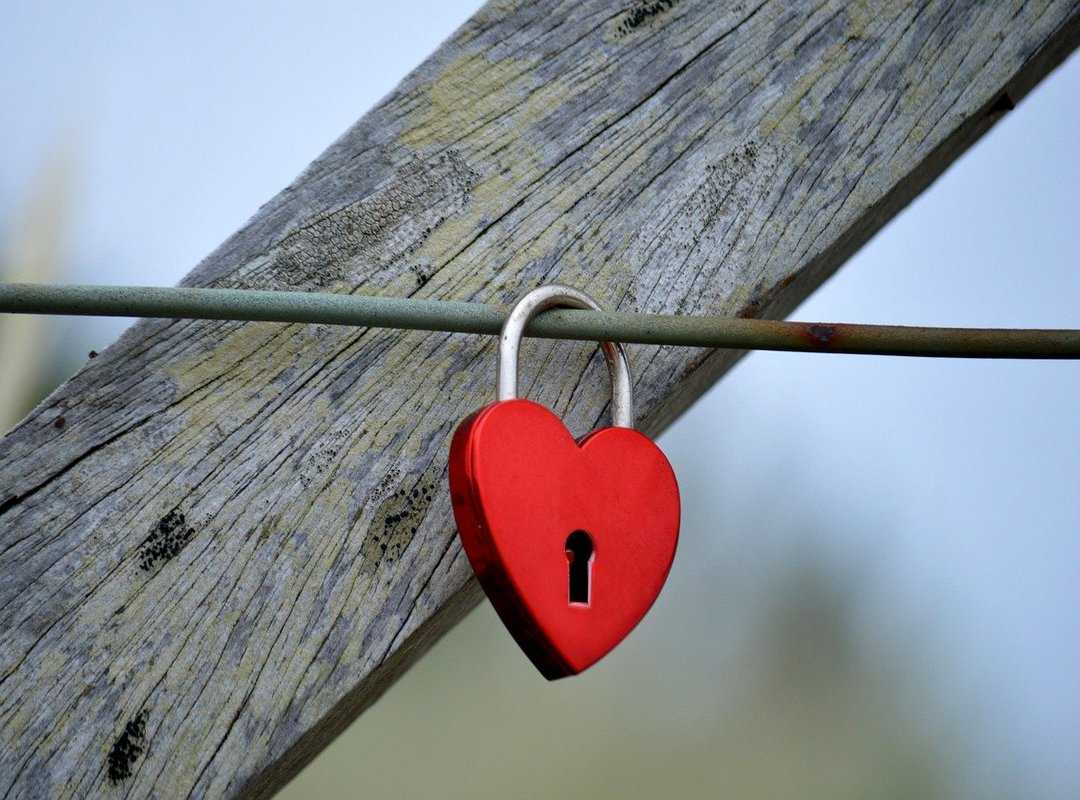 Ftasiastock Technology