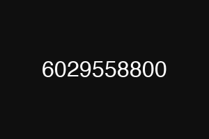 6029558800