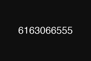 6163066555